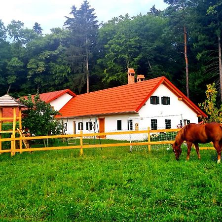 Turisticna Kmetija Hisa Ob Gozdu Pri Ptuju 빌라 외부 사진