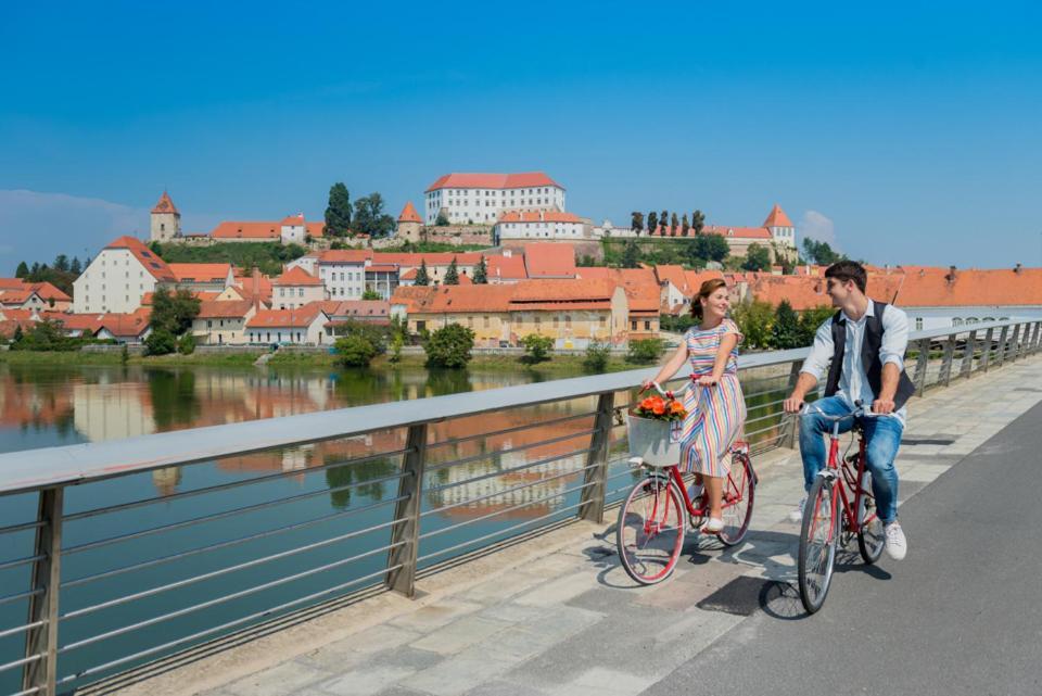 Turisticna Kmetija Hisa Ob Gozdu Pri Ptuju 빌라 외부 사진