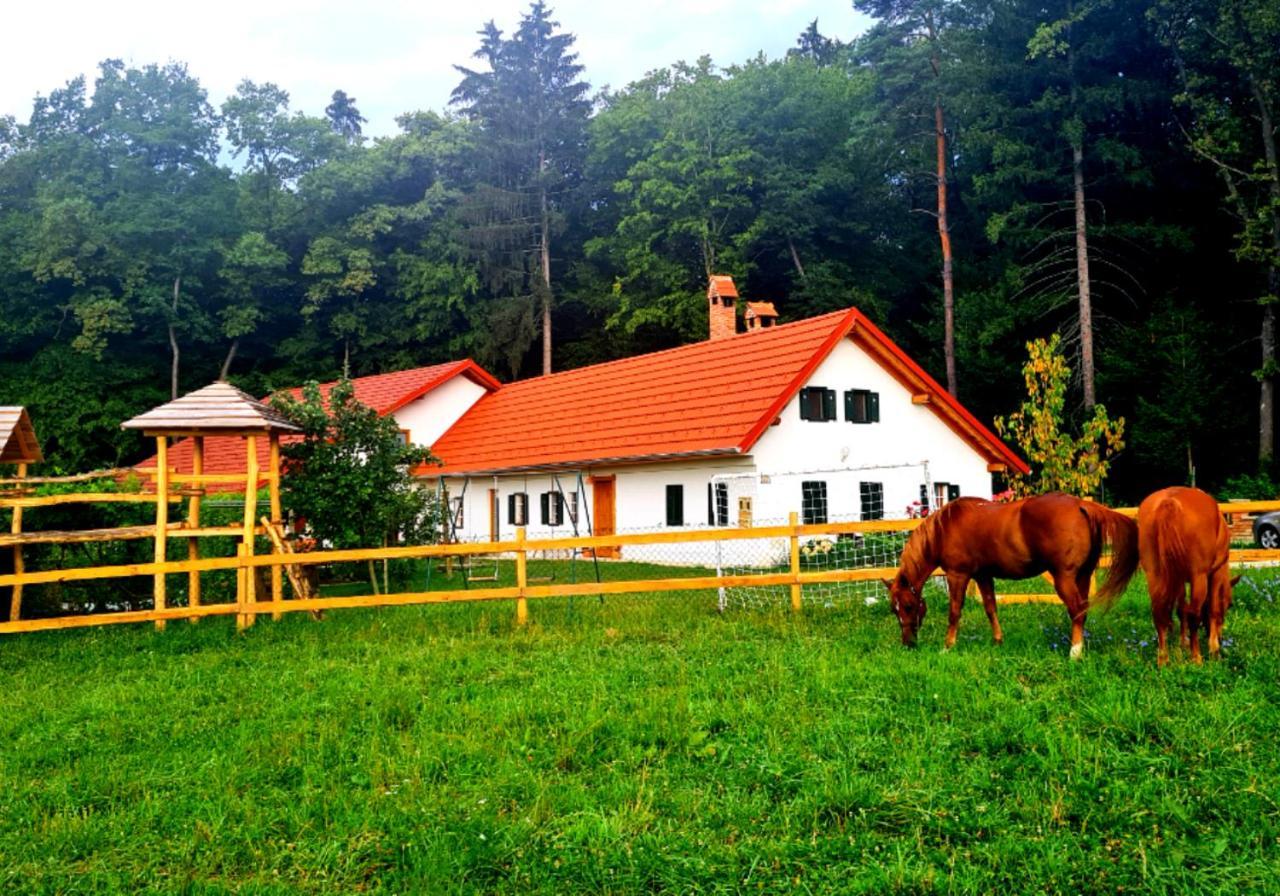 Turisticna Kmetija Hisa Ob Gozdu Pri Ptuju 빌라 외부 사진